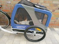 Fahrradanhänger für Hunde im Test