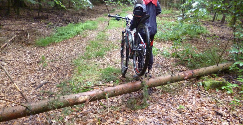 Fahrrad über einen umgestürzten Baum tragen