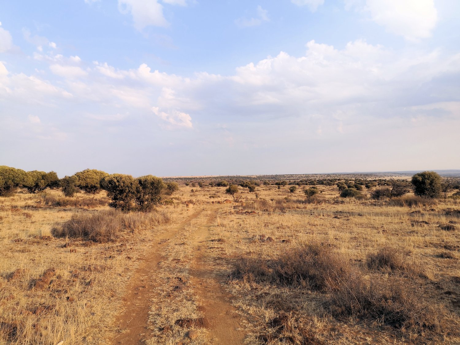 Fahrradreise Steppe Südafrika