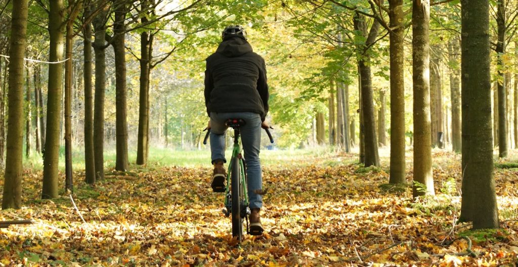 Fahrrad auf Herbstlaub und rutschigen Blättern