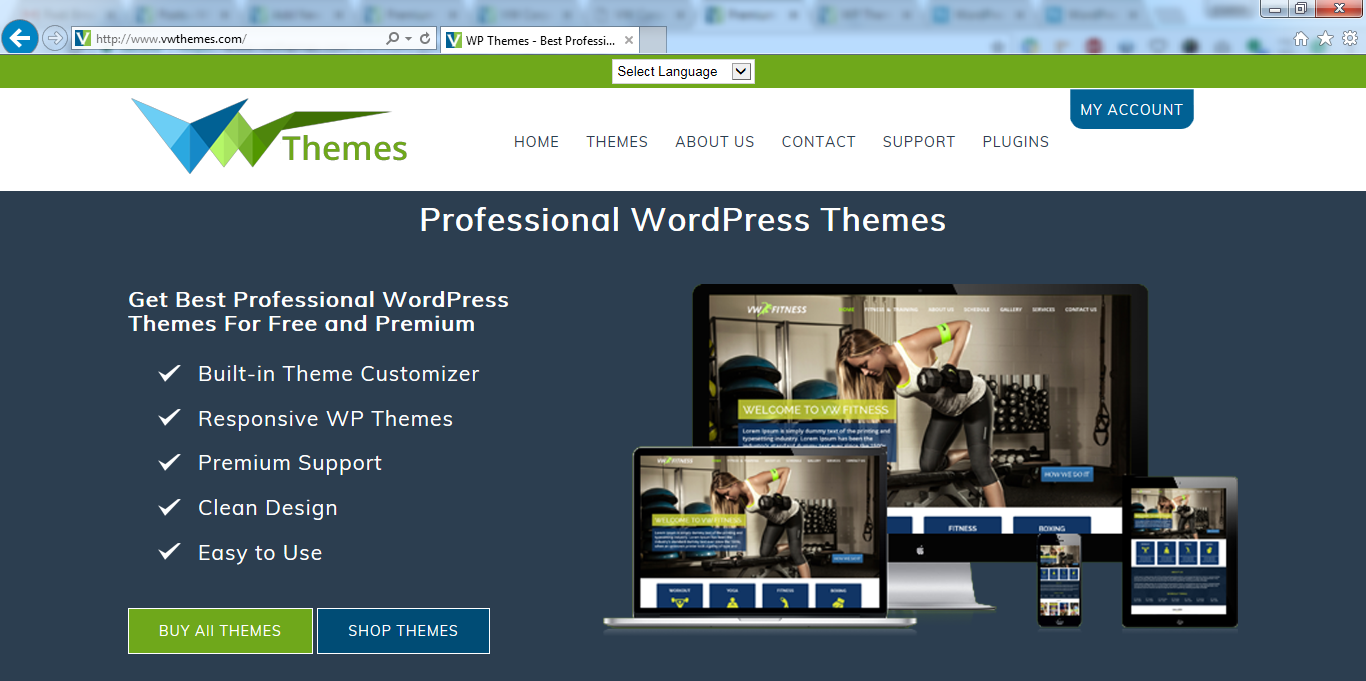 Front End of VWThemes